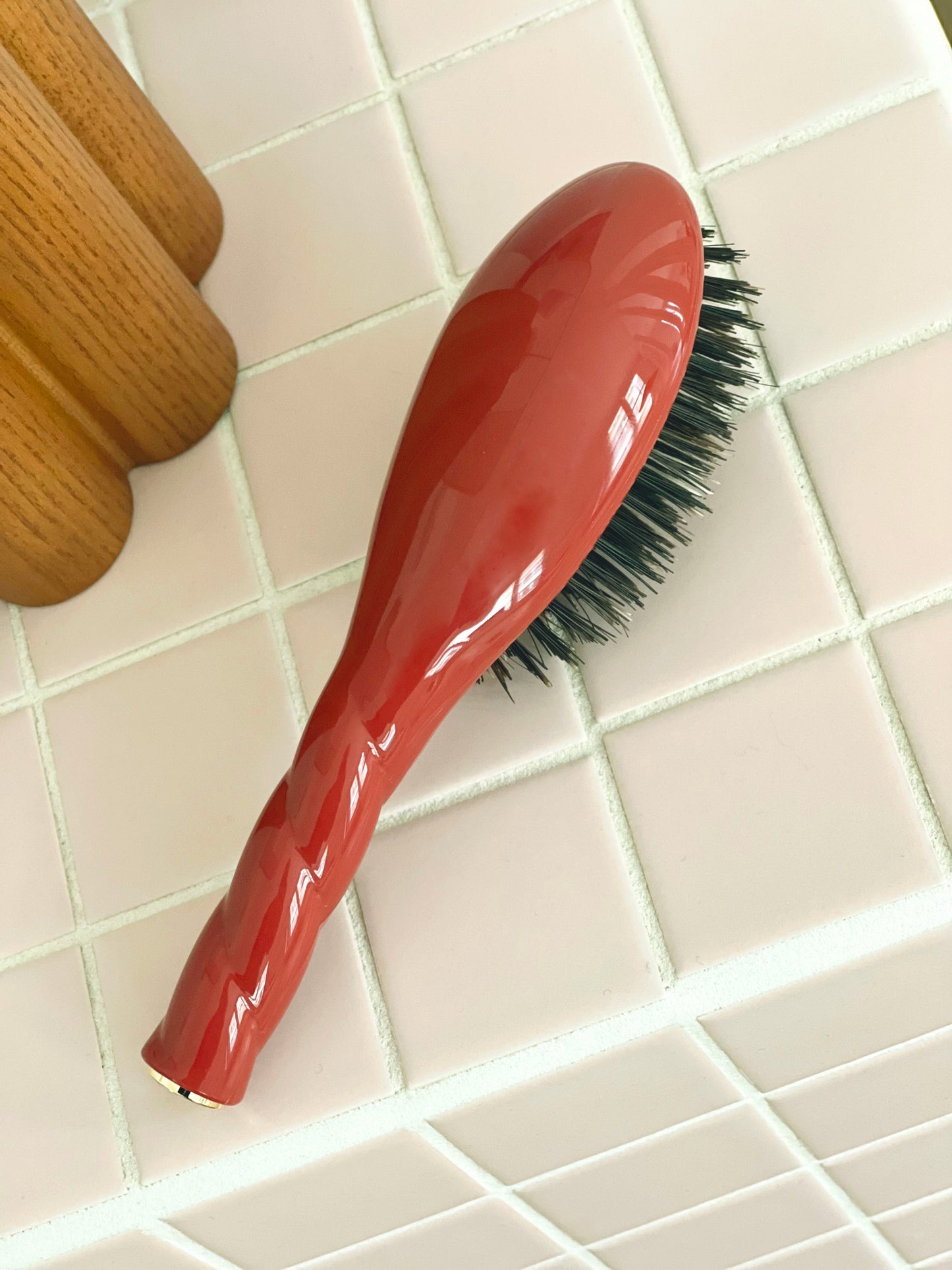 N.01 La Petite Brosse Brillance & Soin l’Universelle Terre Battue