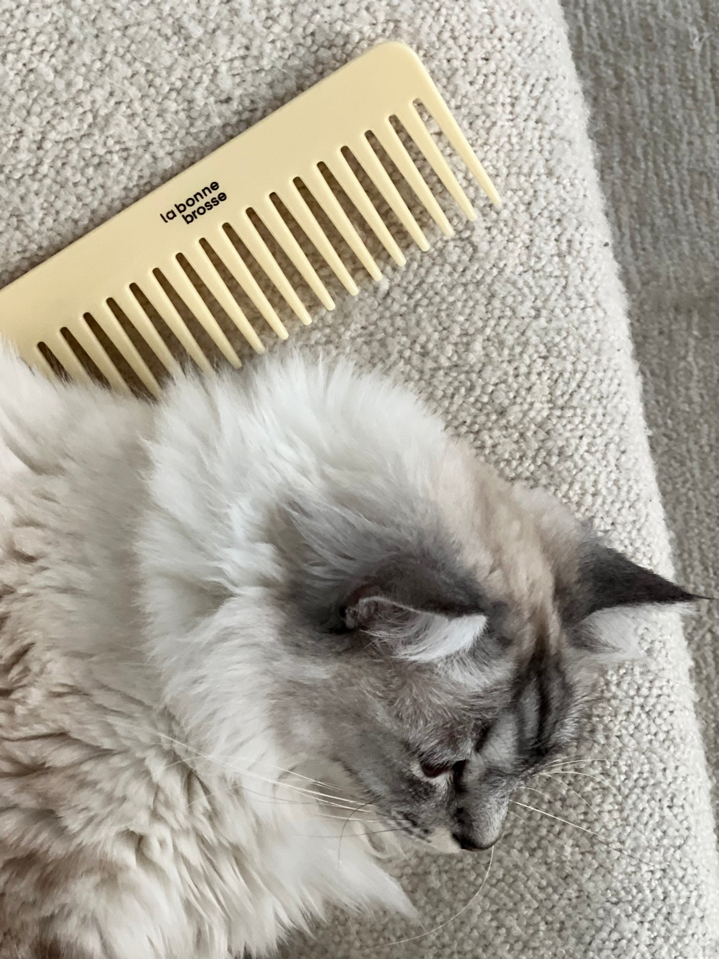 The Large Detangling Comb in Acetate Ivory Cair