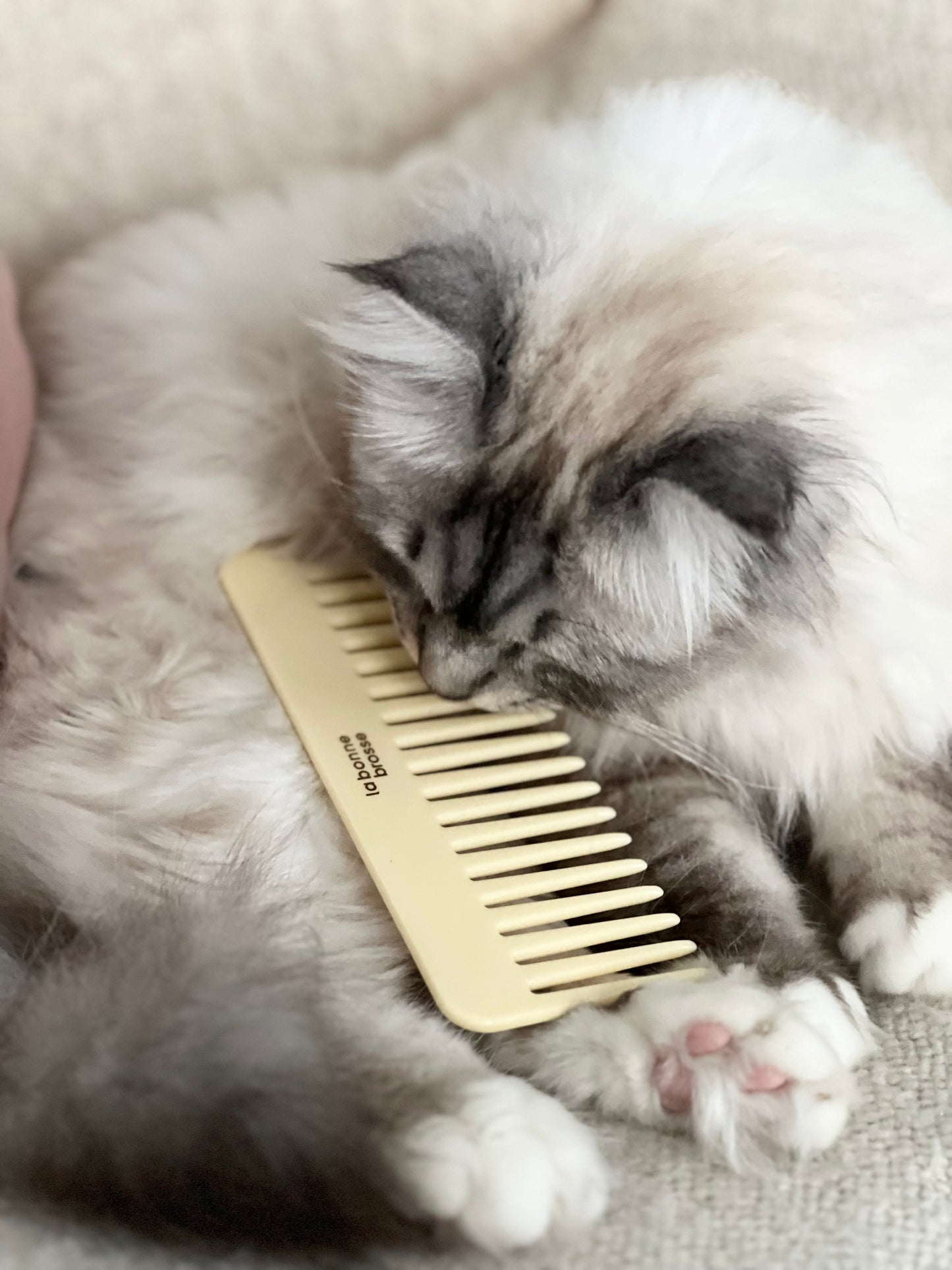 The Large Detangling Comb in Acetate Ivory Cair