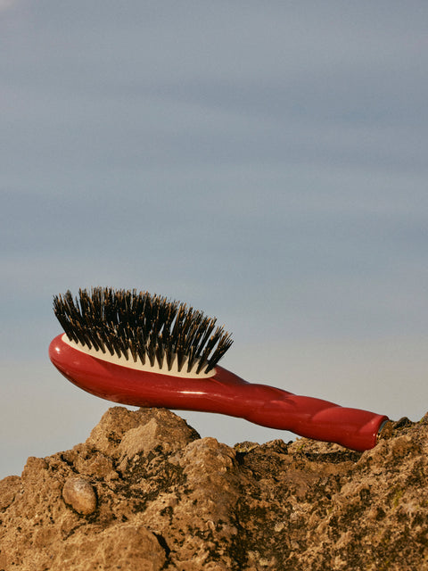 N.01 La Petite Brosse Brillance & Soin l’Universelle Terre Battue - Image 2
