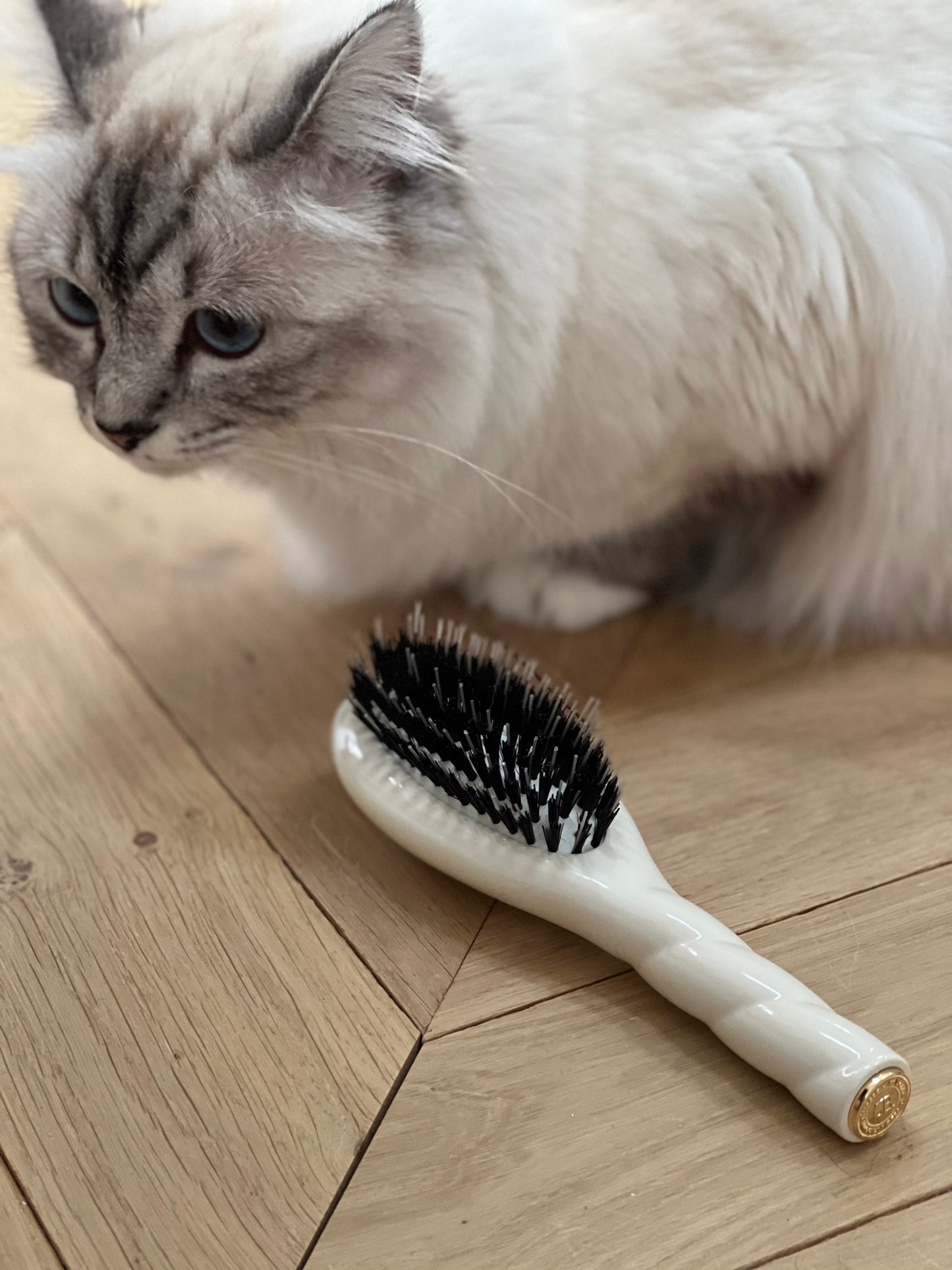 N.02 La Petite Brosse Démêlante & Soin l'Indispensable Blanc Crème