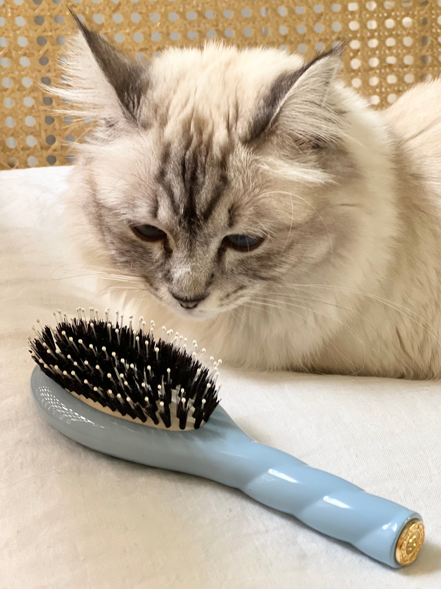 N.03 La Petite Brosse Cuir Chevelu Sensible l'Indispensable Douceur Bleu Ciel